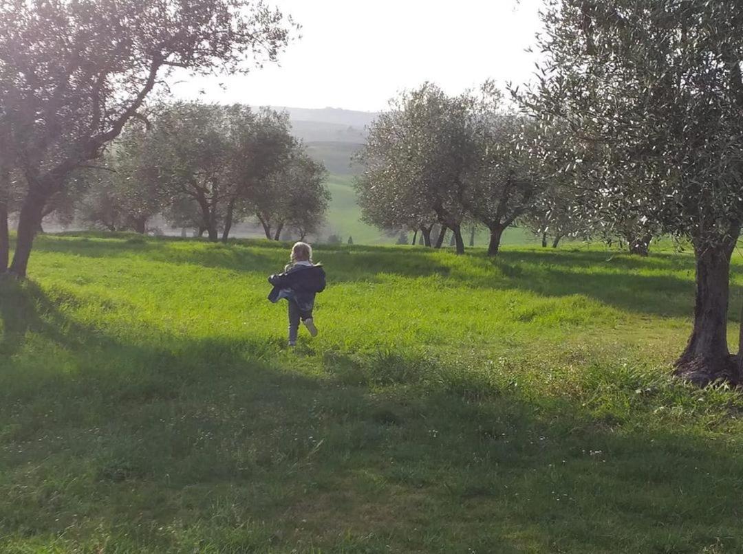Agriturismo Barbi Монтикело Екстериор снимка